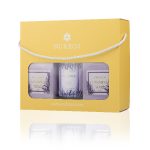 Lavanta - Mum kutusu